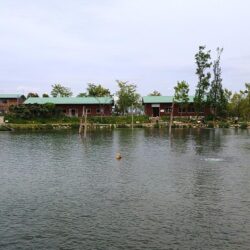 久しぶりのイトウ ～フィッシングパーク高島の泉～